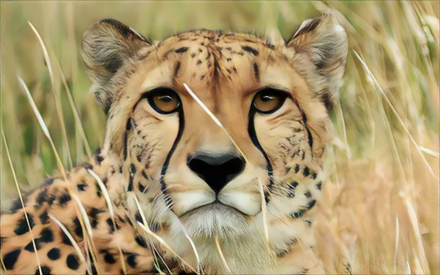 9-Day Ultimate Kenya and Tanzania Safari Experience
